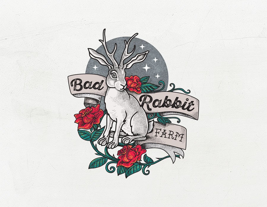 rabbit