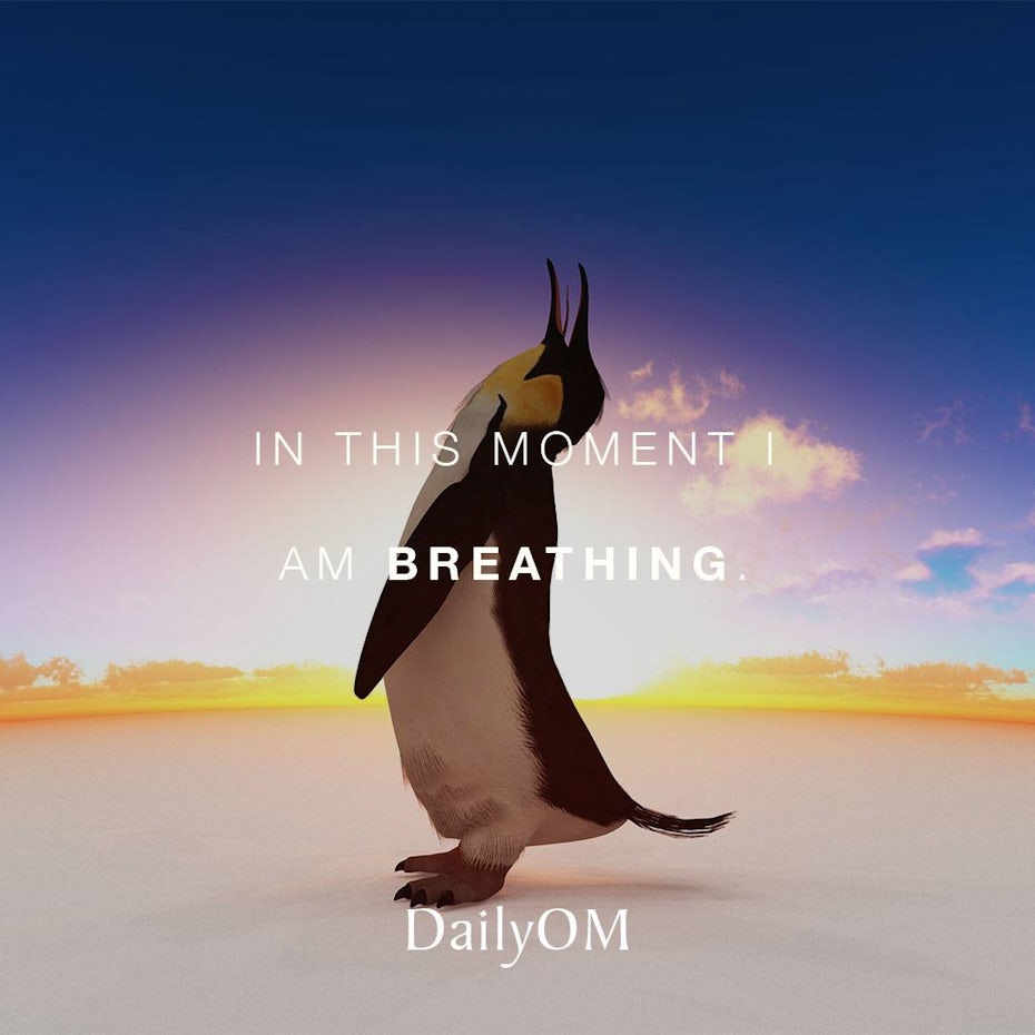 Penguin breathing
