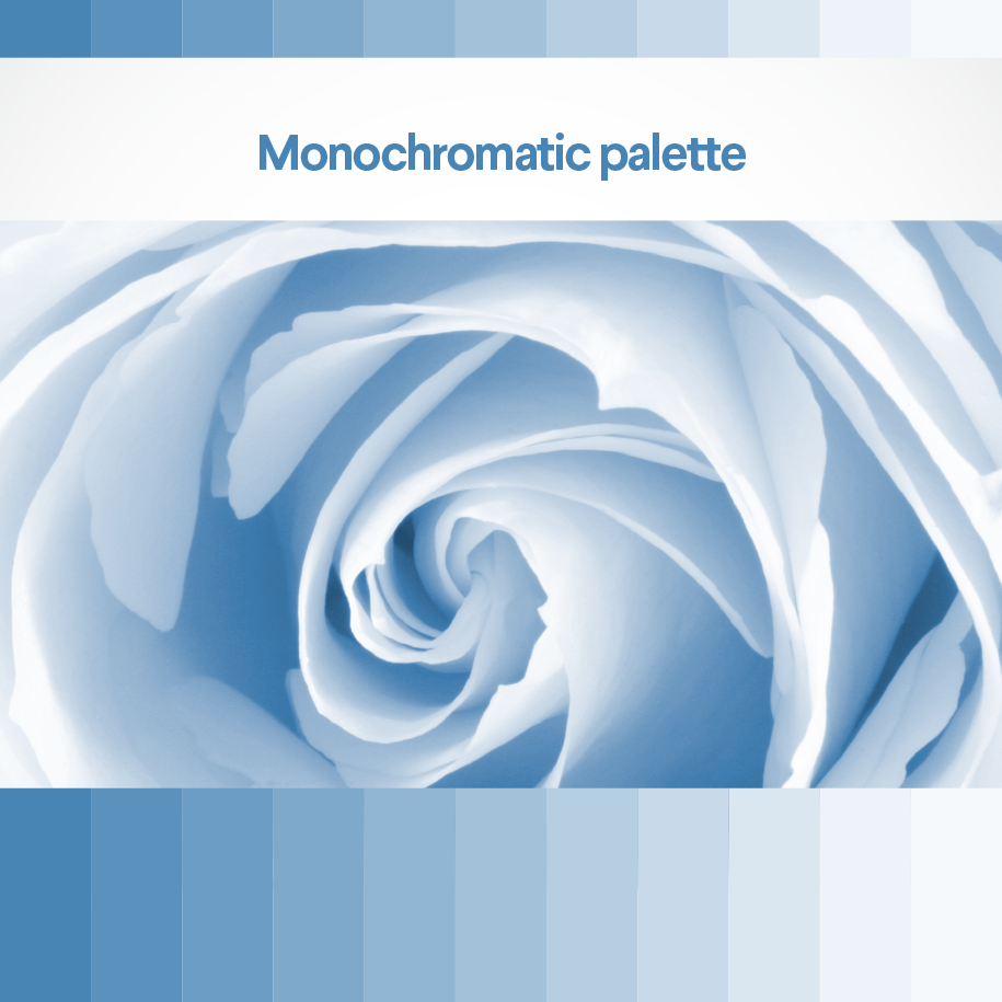 Monochromatic palette