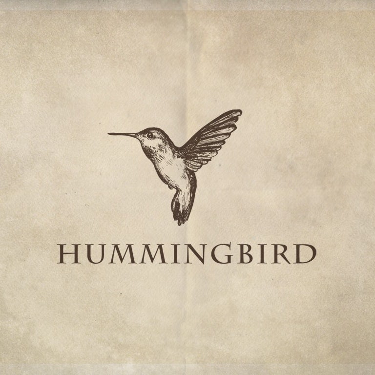 creative logo design with handdrawn hummingbird