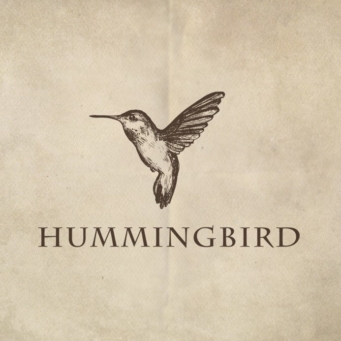 creative logo design with handdrawn hummingbird