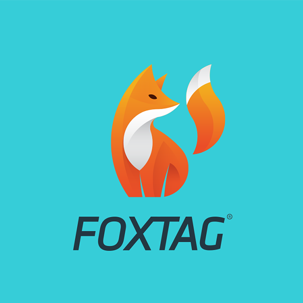 best logos example: modern fox logo