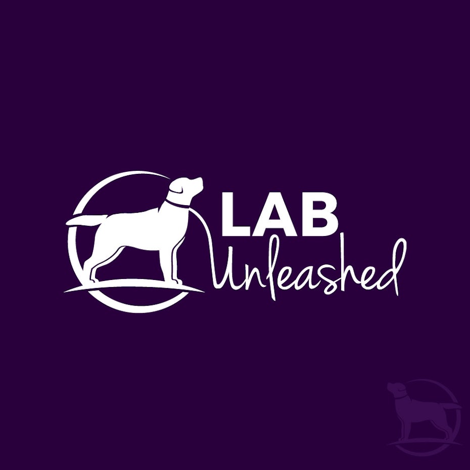 Lab Unleashed tech startup logo design