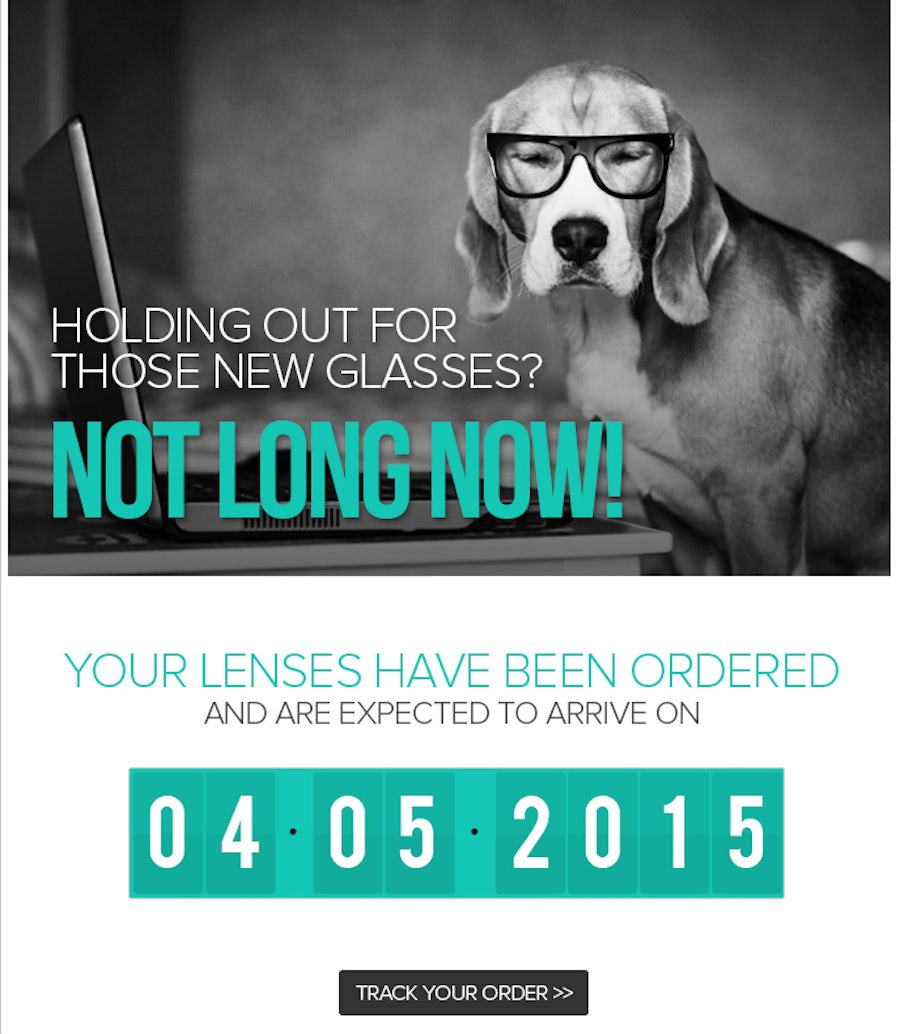 Humorous email design by Codeflex for coolframes.com