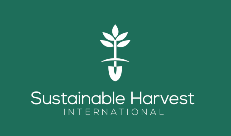 Dark green logo