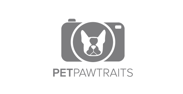 Gray dog camera logo