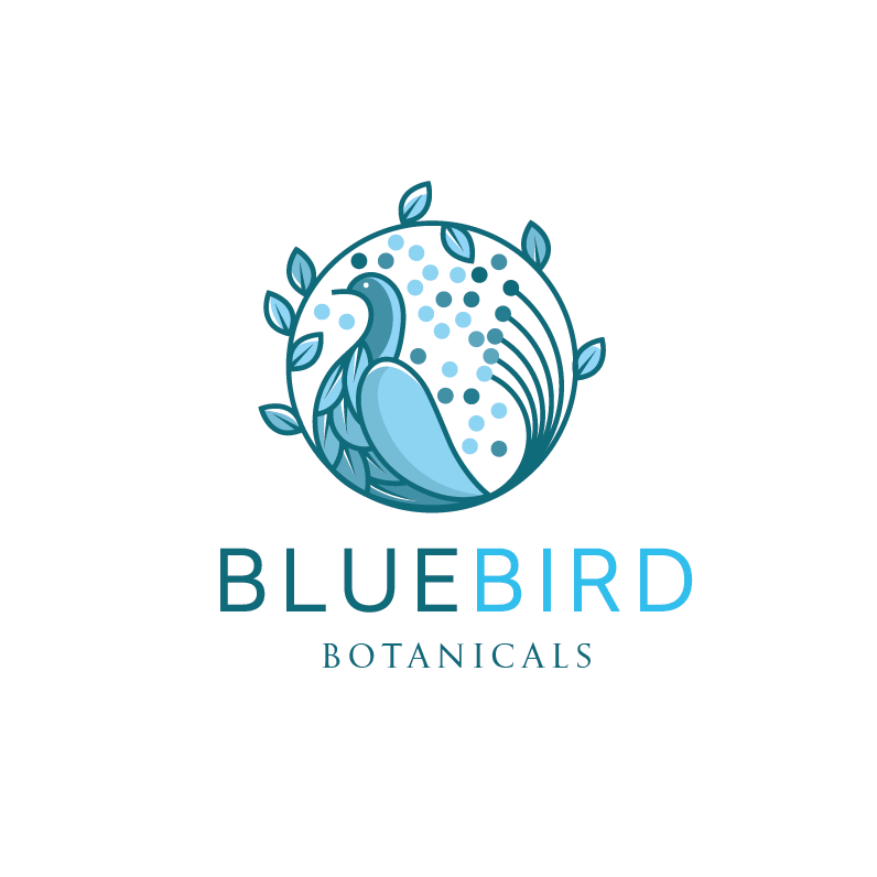 Bluebird logo in light blues
