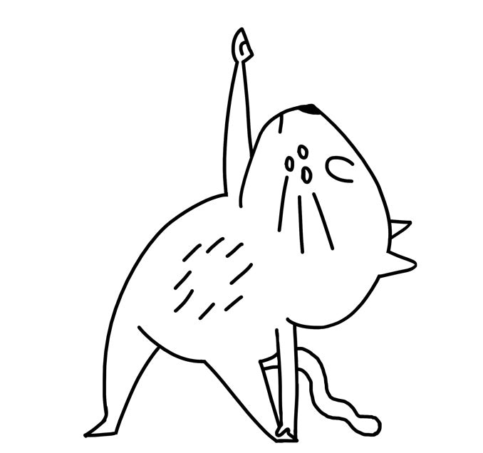 yoga cat triangle pose