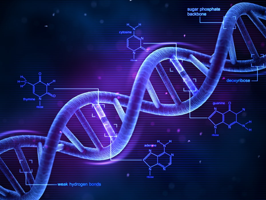 完成研究作为您应该外包的业务任务之一