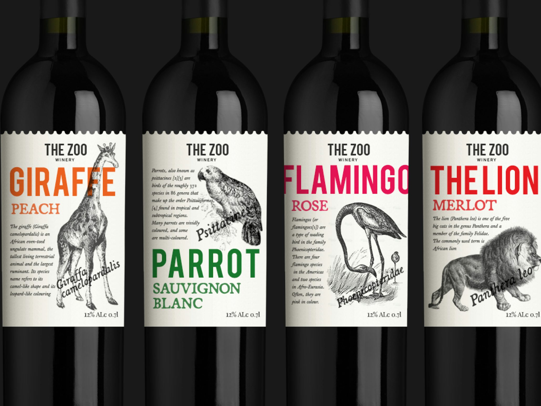 How to design a wine label: the ultimate guide - 99designs