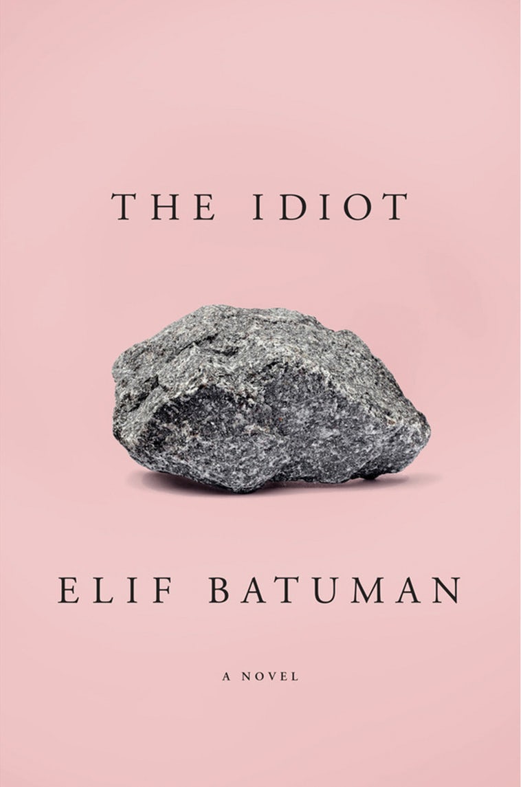 The idiot book cover