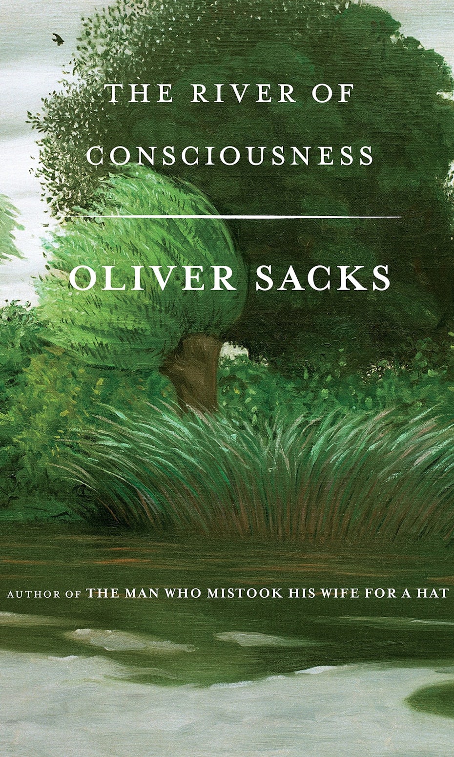 The River of Consciousness Cover