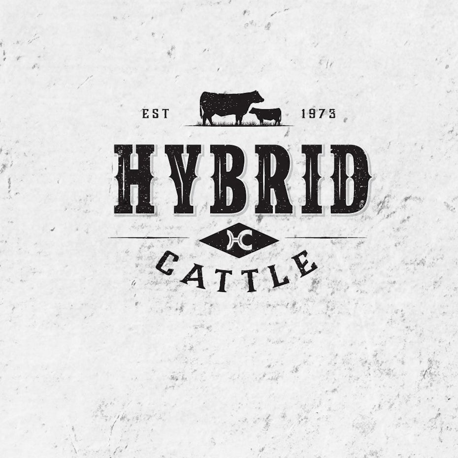 Hybrid Cattle