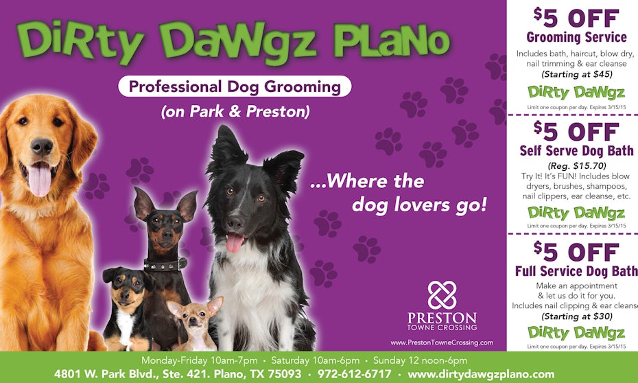 Flyer for professional dog grooming company
