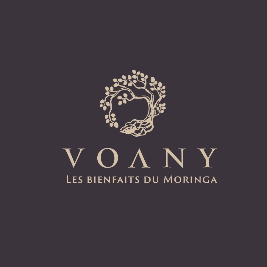 Clássico design de logotipo para Voany