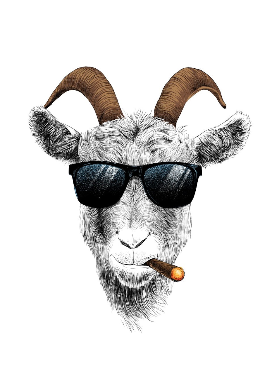Goat smoking cigar