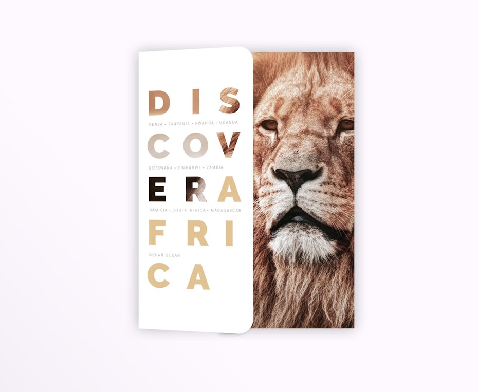 Discover Africa Brochure