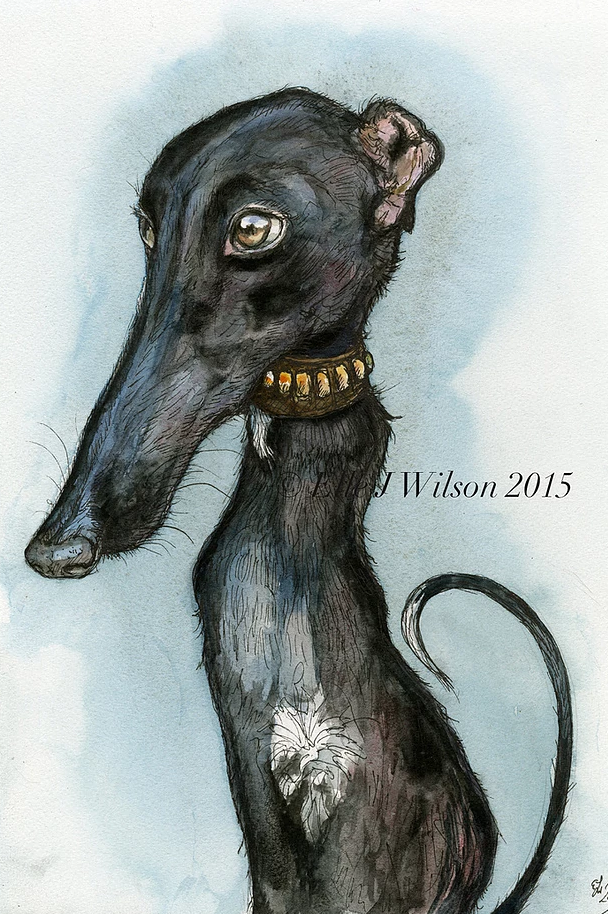stylized greyhound portrait