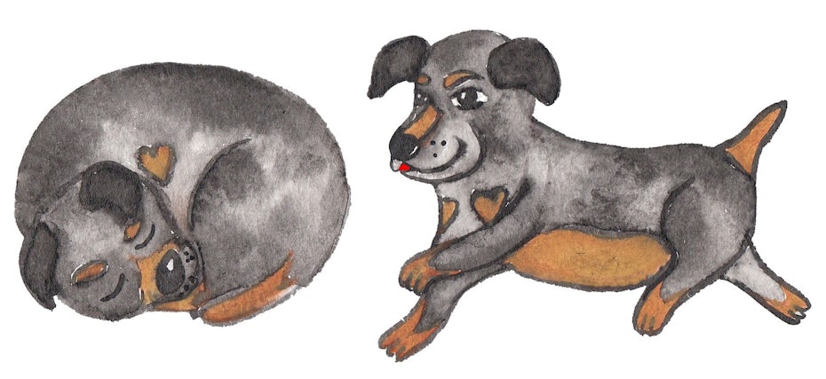cute puppy illustration