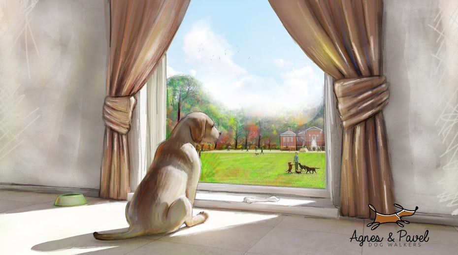 dog looking out window