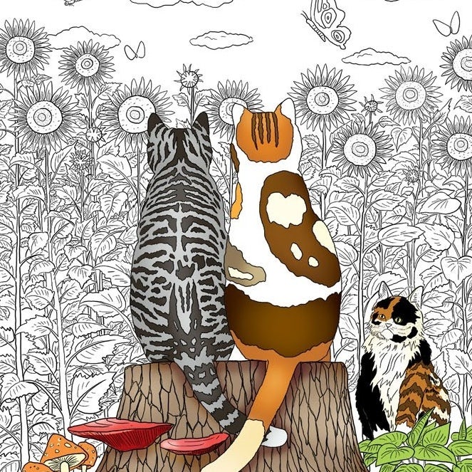 cat coloring book