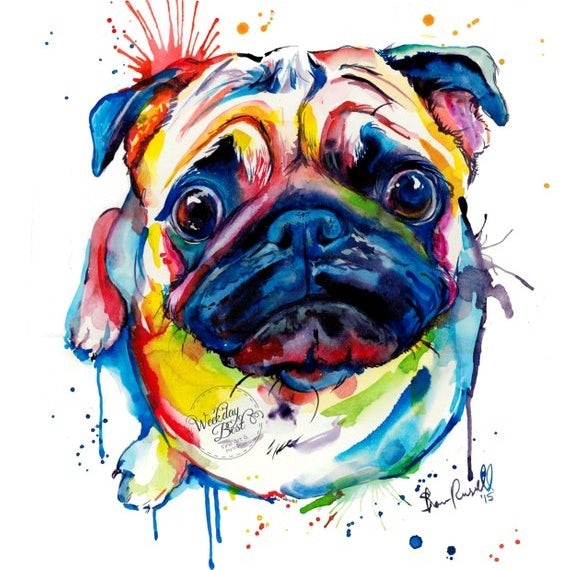 pop art pug