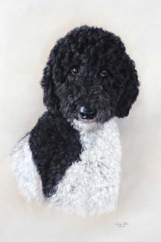 golden doodle portrait