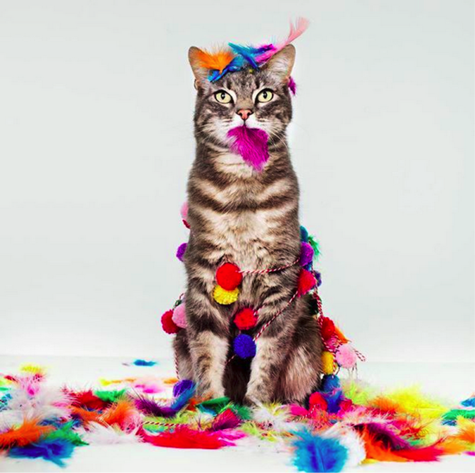 Harvard Business Review