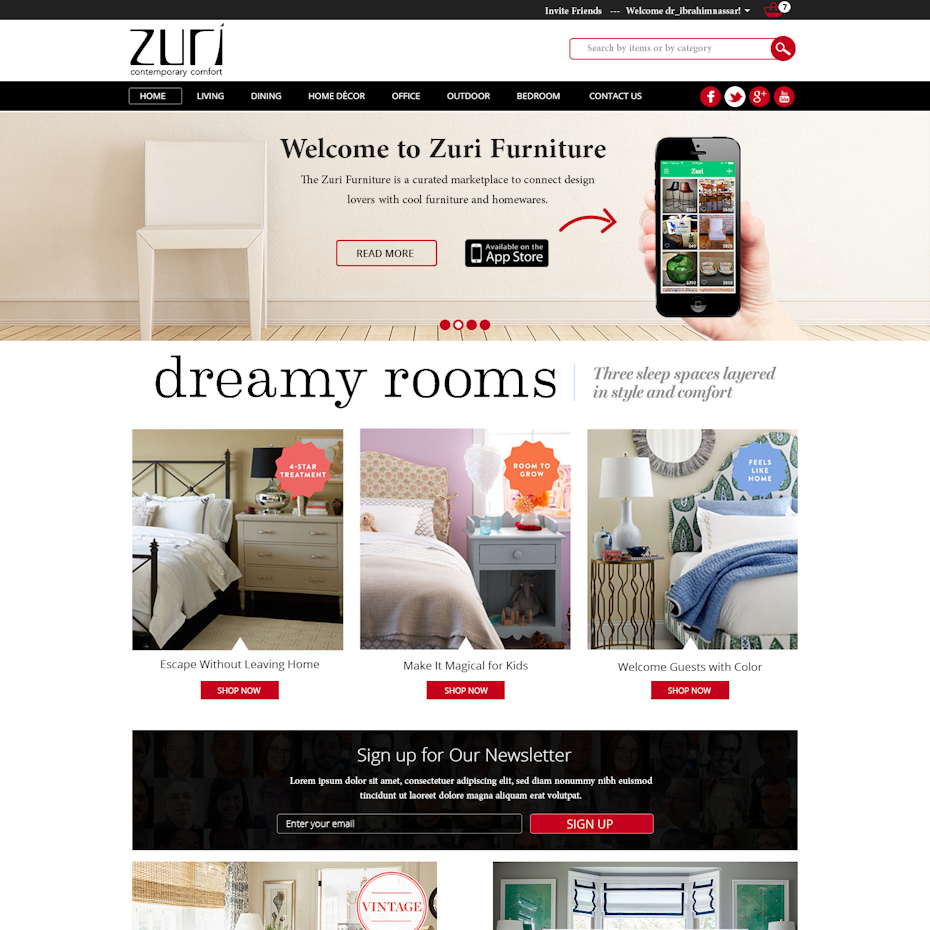 Furniture website design