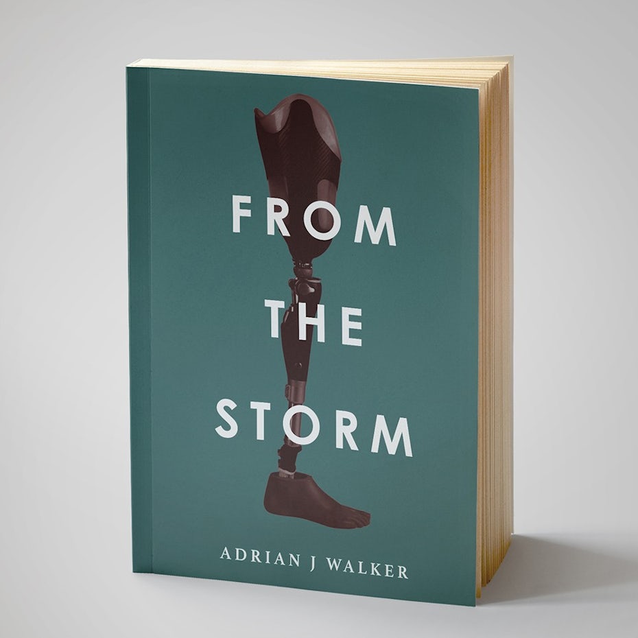From the Storm book cover