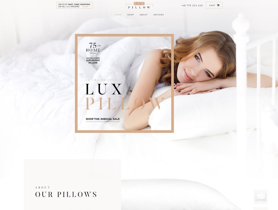 Pillow website design