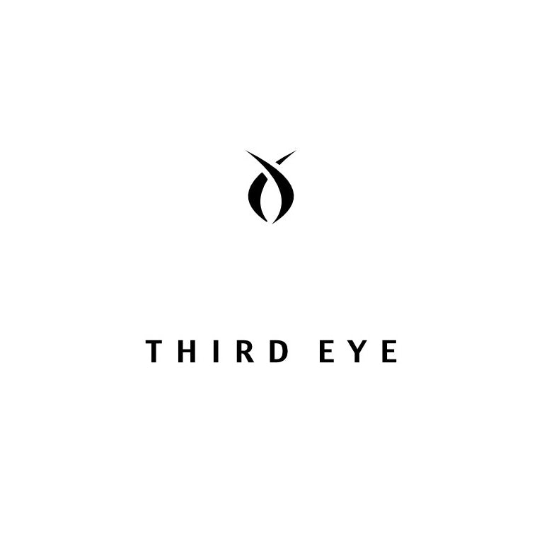 Third Eye logo