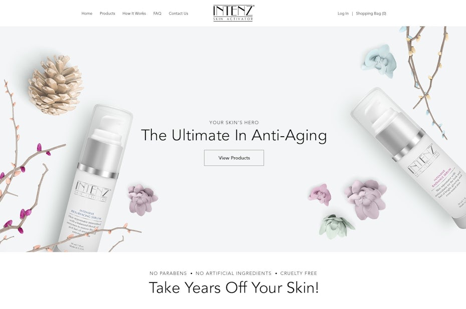 Intenz web page design