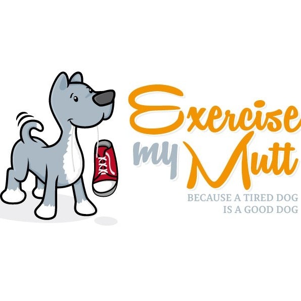 Dog holding a pair of sneakers in its mouth