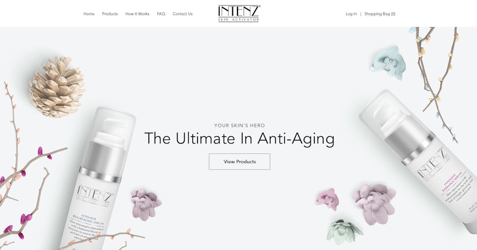 Intenz web design