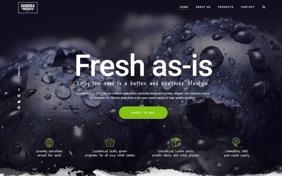 Dandrea Produce web design