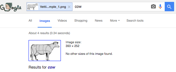 Search results for cow