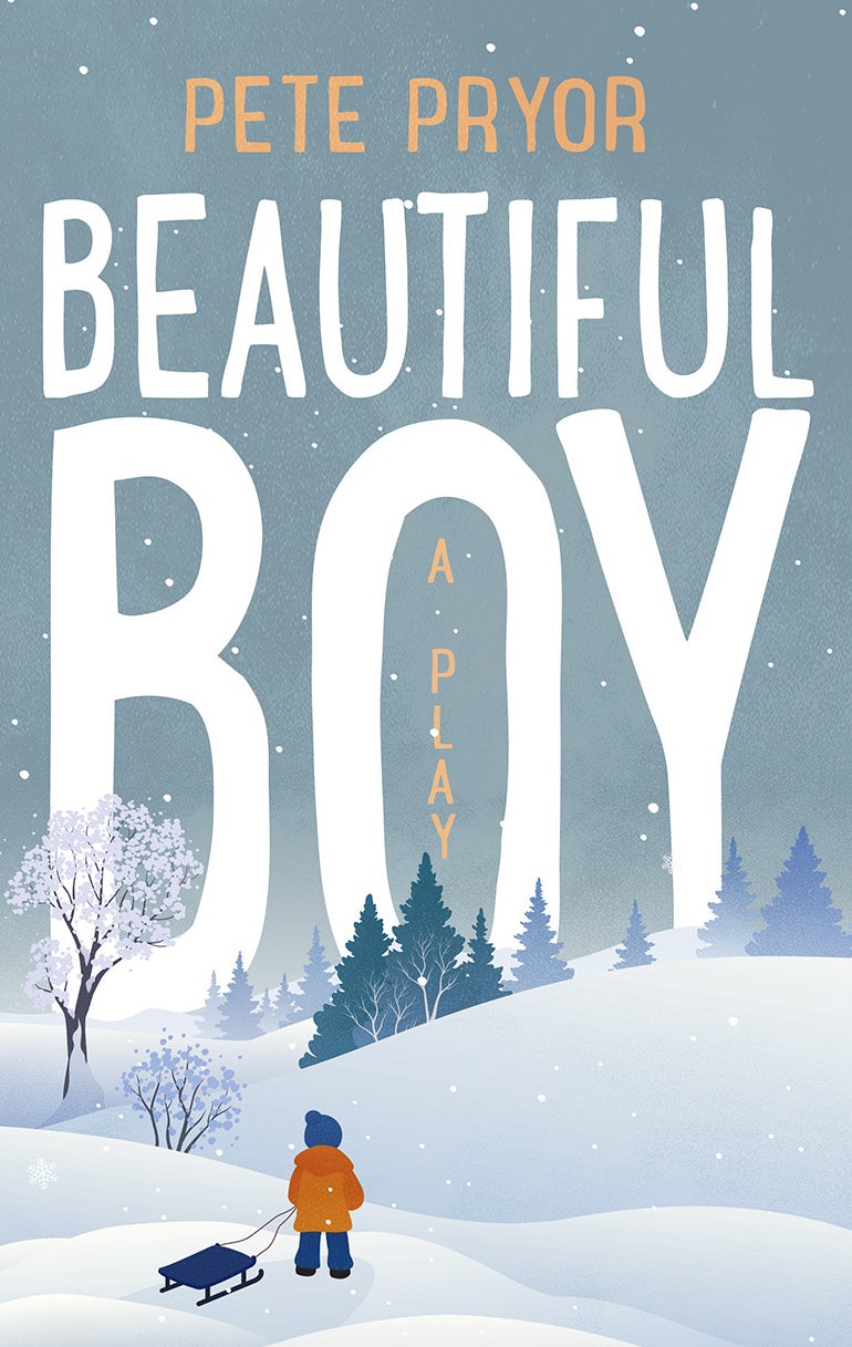 Beautiful boy book cover