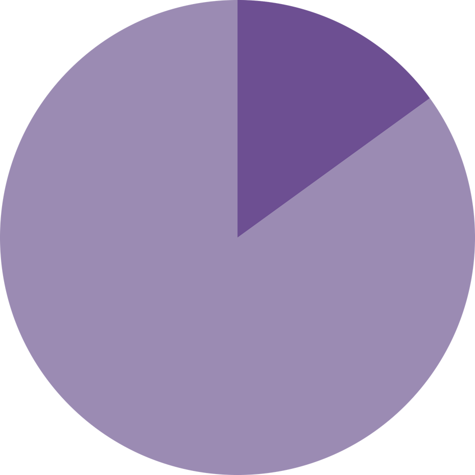 pie chart highlighting 15 percent of the whole