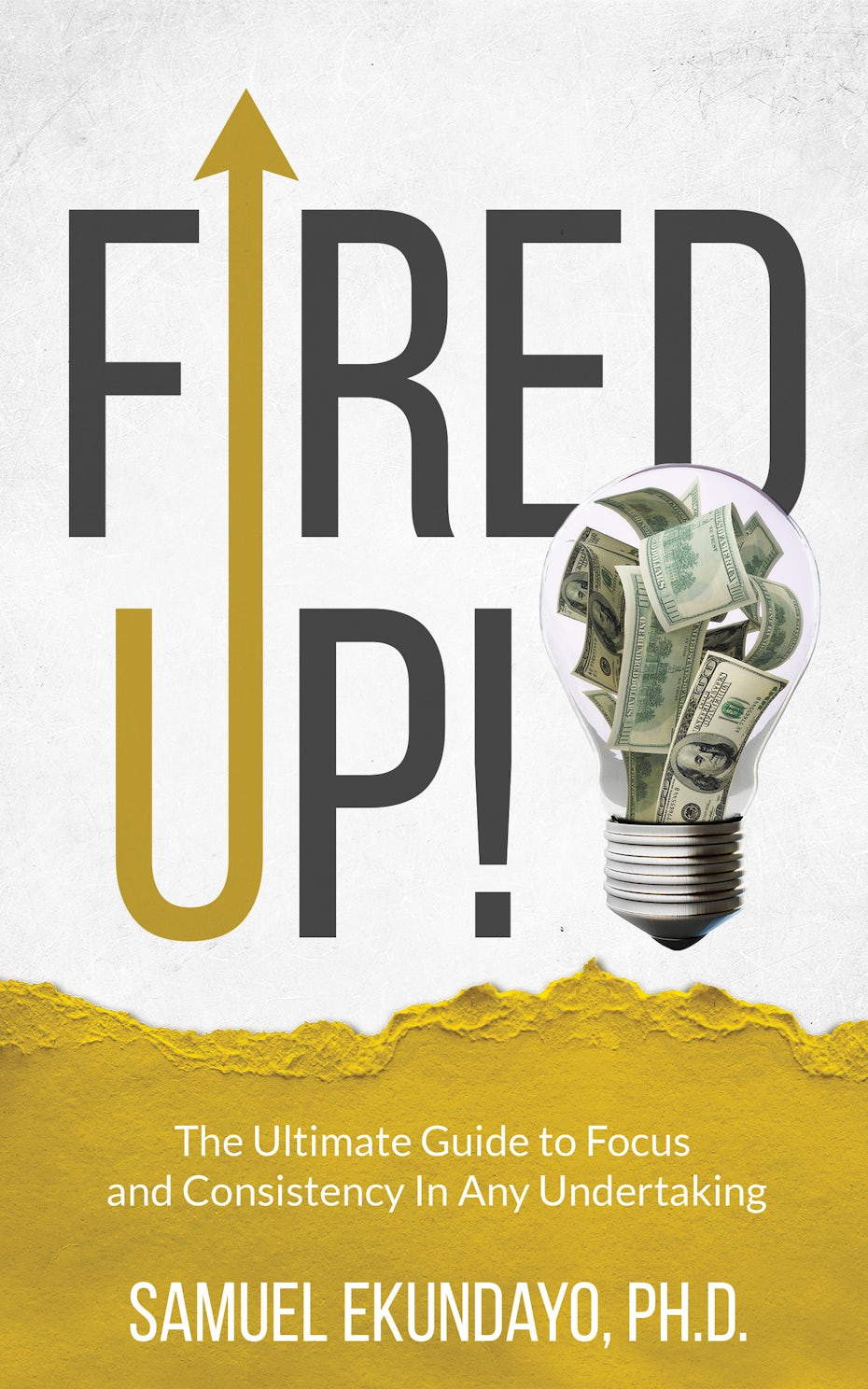 Fired Up! book cover