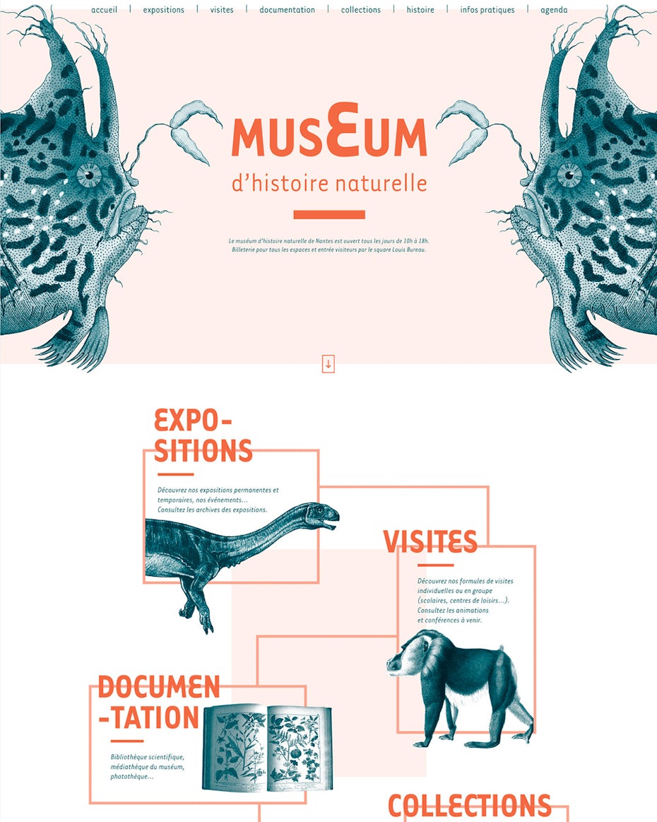Duotone design for a natural history museum