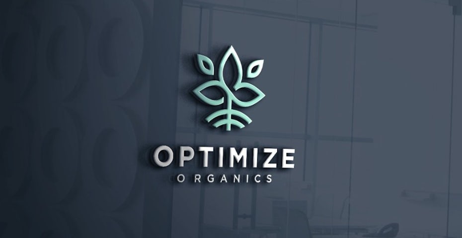 consulting logo with geometric image of a plant sprouting out of the ground