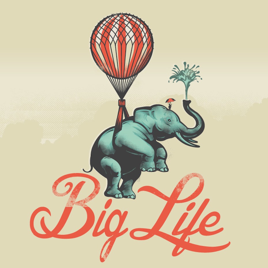 Big Life elephant package design