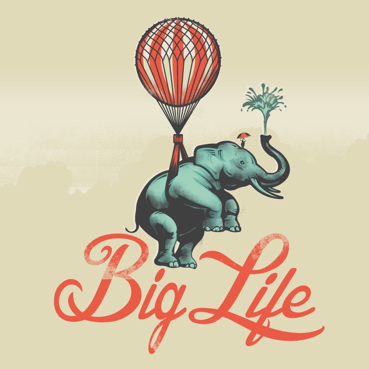 Big Life elephant package design