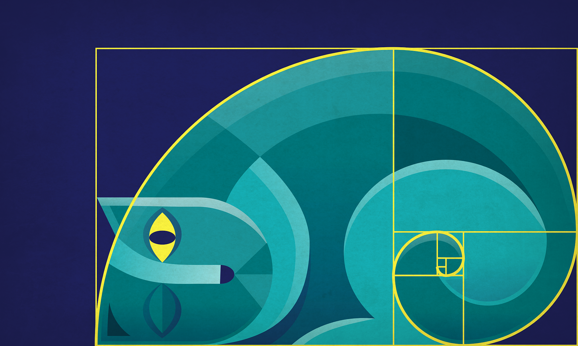 The Golden Ratio And How To Use It In Graphic Design 99designs