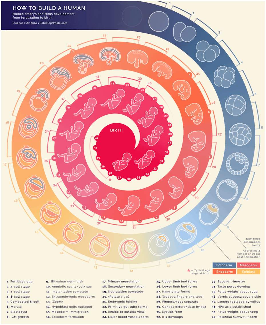 Animated Infographics How To Bring Your Content To Life 99designs Animated Infographics How To Bring Your Content To Life 99designs