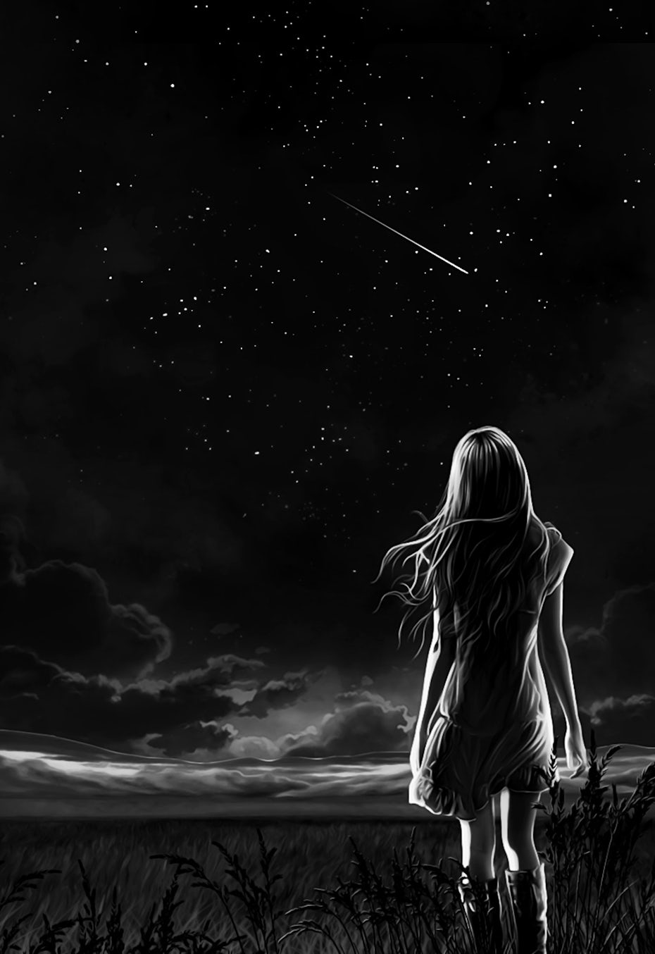 Night Sky Illustration