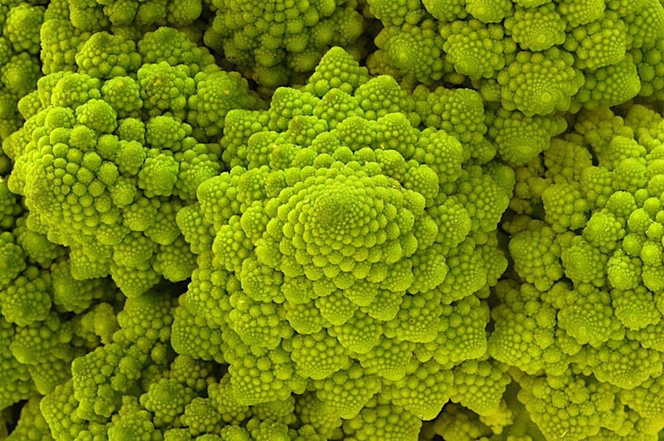 romanesco broccoli