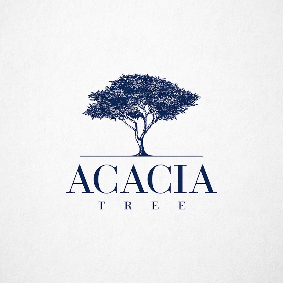 Acacia Tree logo