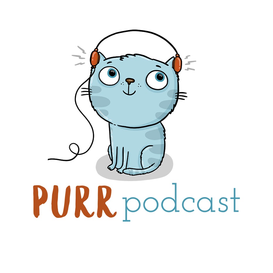 cute cat illustration for podcast